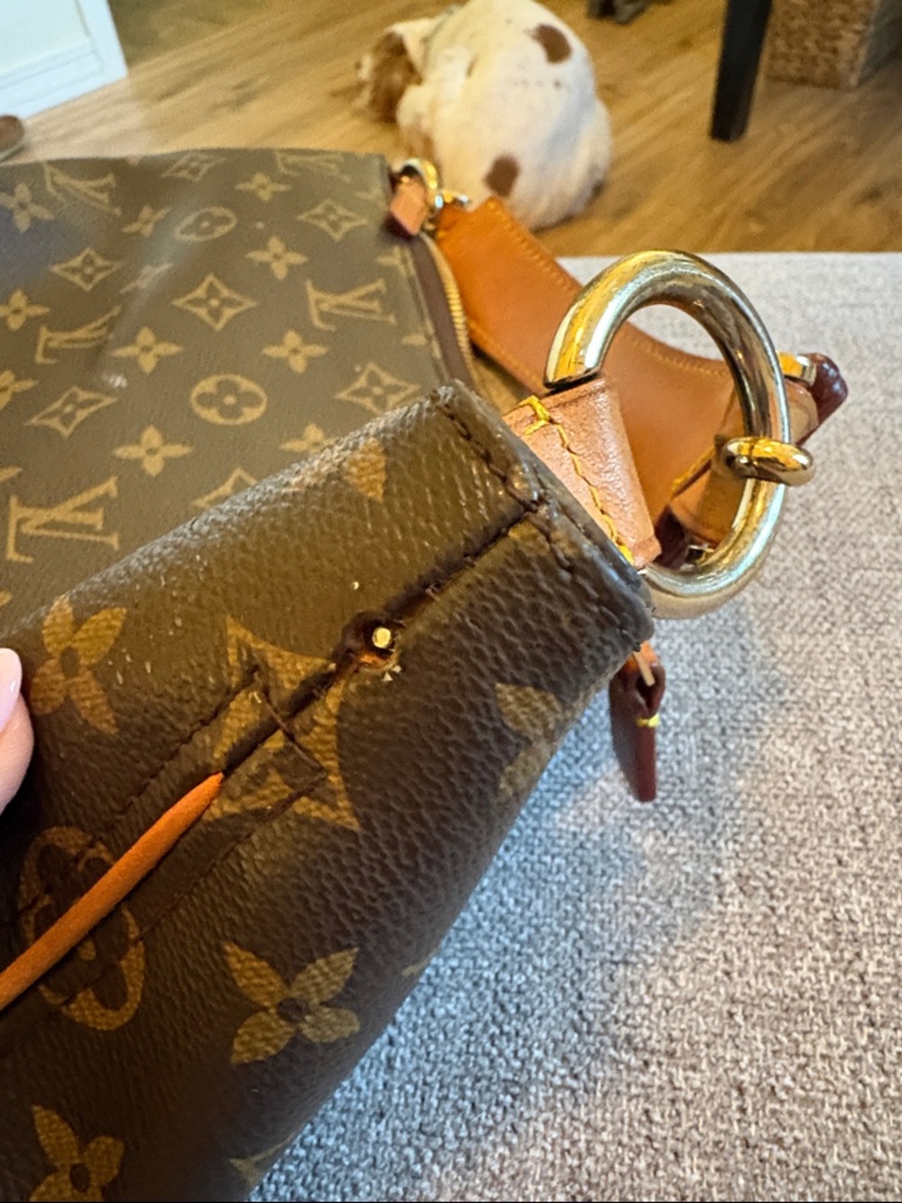 Louis Vuitton Monogram Sully Handbag - Picture 9 of 16